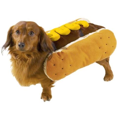 small dog hot dog costume|sausage dog hot dog costume.